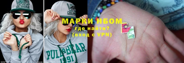 прущие грибы Верхний Тагил