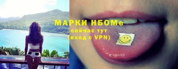 прущие грибы Верхний Тагил