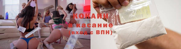 прущие грибы Верхний Тагил