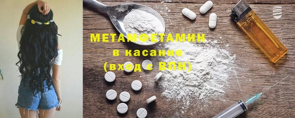 прущие грибы Верхний Тагил