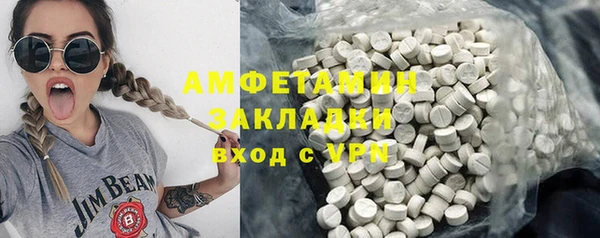 прущие грибы Верхний Тагил
