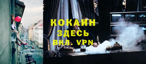прущие грибы Верхний Тагил