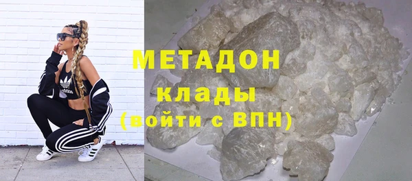 прущие грибы Верхний Тагил