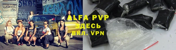 прущие грибы Верхний Тагил