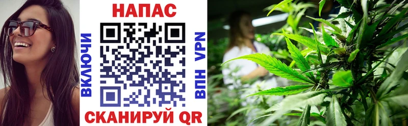 Канабис ГИДРОПОН  купить наркоту  Верхняя Тура 